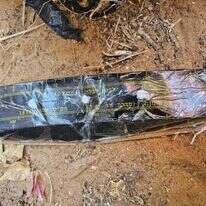 לבנת חבלה שנמצאה בשטח פתוח בחולון. | משטרת ישראל