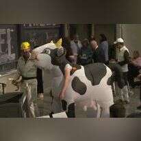 פרסי איג נובל 2024. | מסך מיוטיוב