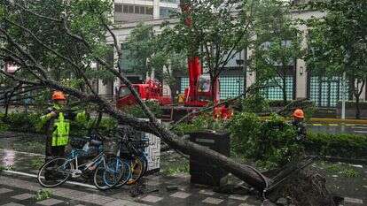 סופת טייפון בשאנגחאי. | HECTOR RETAMAL / AFP