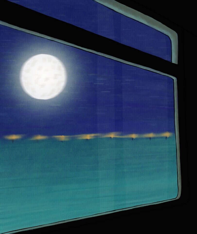 איור: שרון ארדיטי