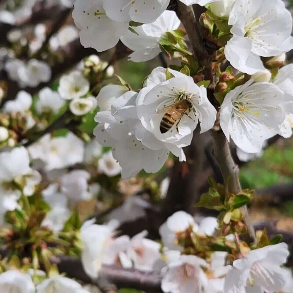 מתוך האינסטגרם