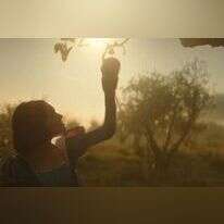 באדיבות דיסני