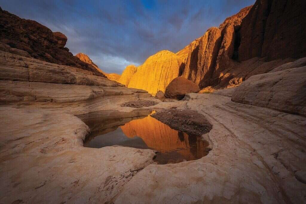 זמניות שפויה, | עמוס רביד