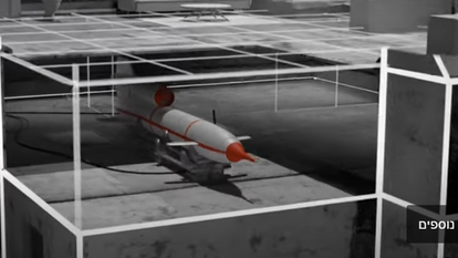 מסך מתוך הצהרת דובר צה"ל