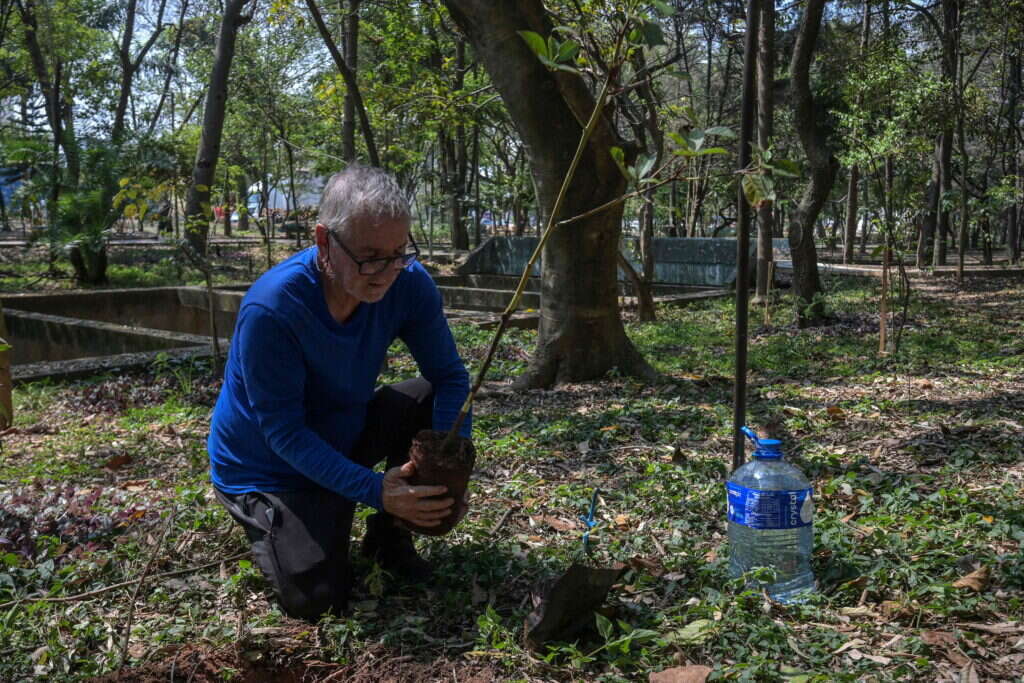 דה סילבה בפארק בסאו פאולו. | AFP