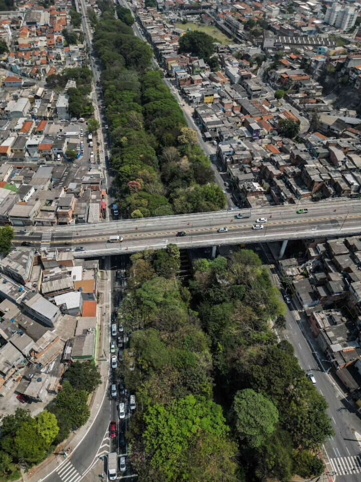 הפארק בסאו פאולו. | AFP
