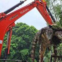 פינוי גופות התנינים בתאילנד | AFP פינוי גופות התנינים בתאילנד | AFP