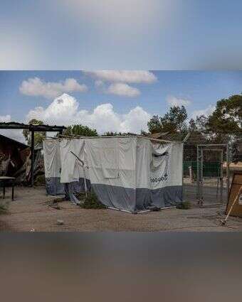 הסוכות משנה שעברה עדיין עומדות על תילן. נחל־עוז, השבוע. | נעמה שטרן