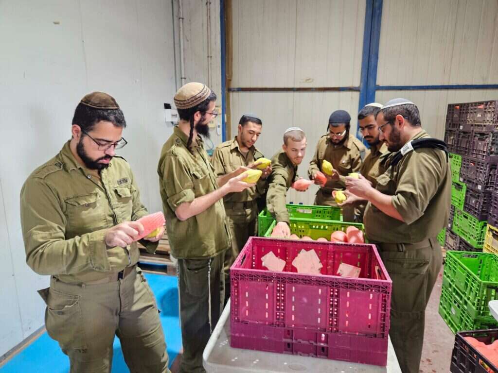 צה"ל נערך לקראת חגי תשרי, צילםו: דובר צה"ל