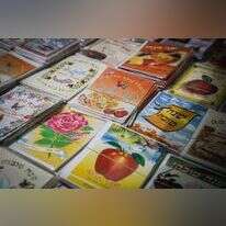 ברכות שנה טובה, | הדס פרוש, פלאש 90 ברכות שנה טובה, | הדס פרוש, פלאש 90