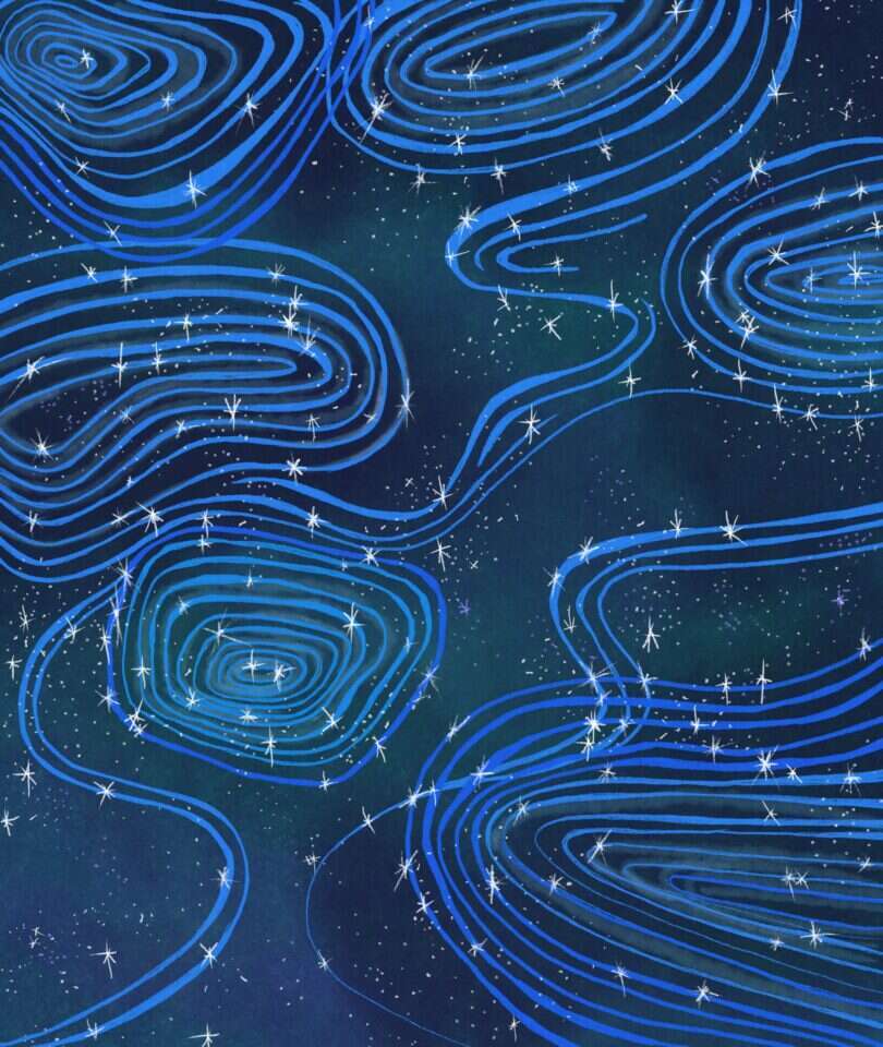 איור: שרון ארדיטי