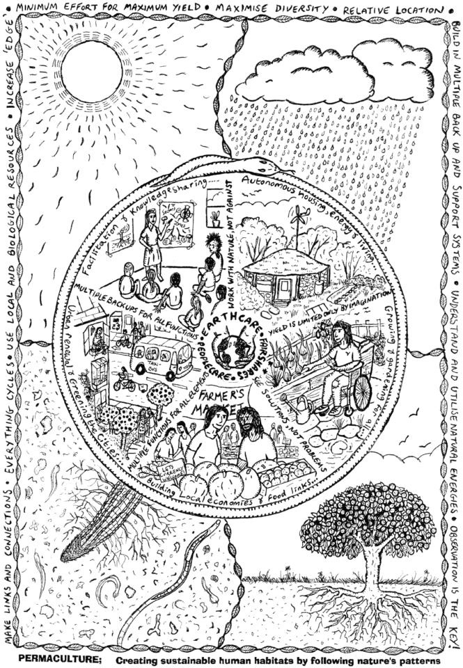 מנדלה המתארת את עקרונות הפרמקלצ'ר. איור: גרהם ברנט, ויקיפדיה