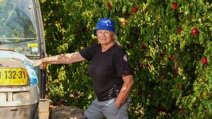 דבורה אדלר במטעים במירון. | אייל מרגולין, ג'יני