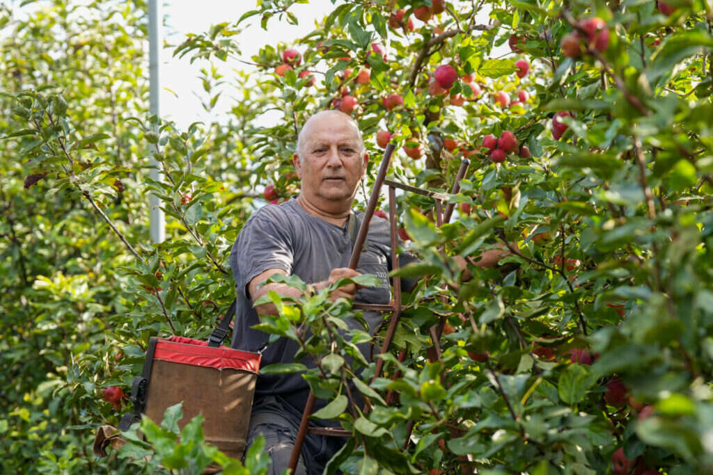 ששון ברנס. | אייל מרגולין, ג'יני