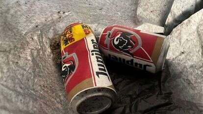 יצירת האומנות. | AFP יצירת האומנות. | AFP