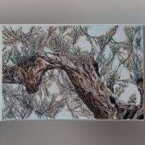 מרים סטיווי, "אור זרוע", טוש ומים על קנבס, 2022; הוצג בתערוכה "עץמותיי תאמרנה"