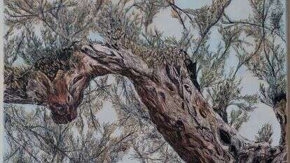 מרים סטיווי, "אור זרוע", טוש ומים על קנבס, 2022; הוצג בתערוכה "עץמותיי תאמרנה"