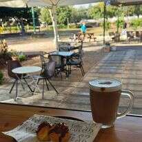 סטלה | מגשימים. | מסך מהרשתות החברתיות