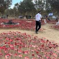מיצג הכלניות בחניון רעים. | אורלי גולדקלנג