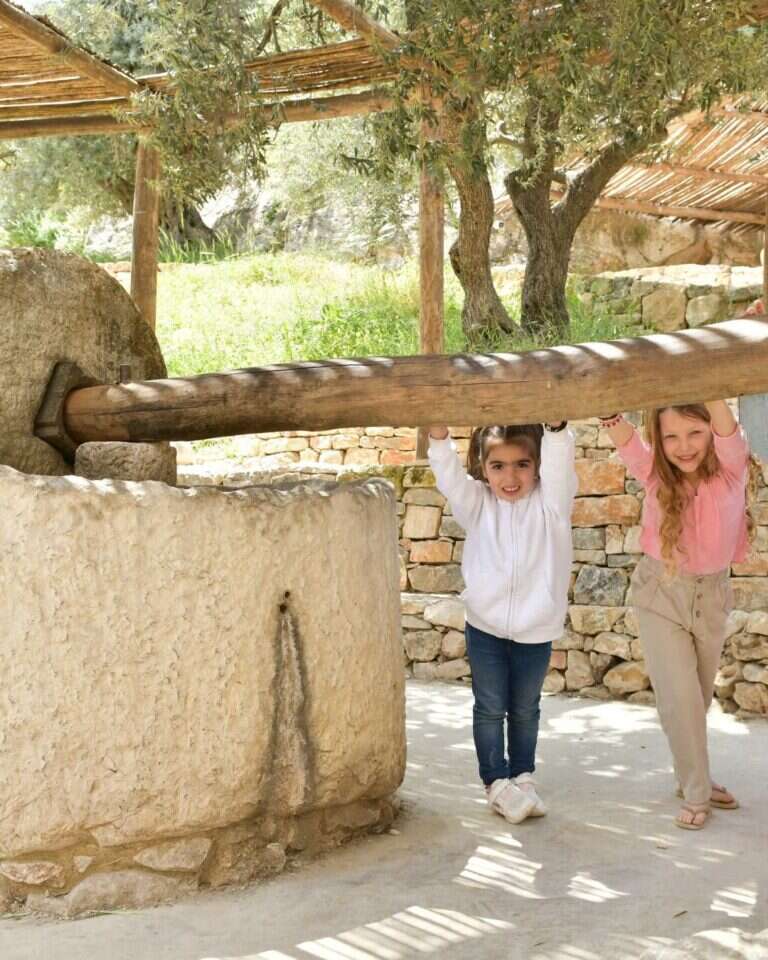 חווה בגיא. דמקה