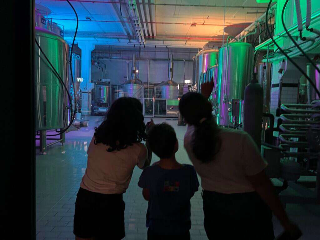 סוכותפסט בבירבזאר. | אבנית סטרולוב