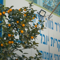 ממ"ד נווה עציון. | מסך מיוטיוב