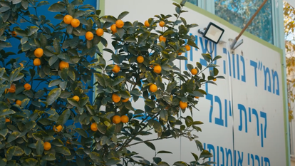 ממ"ד נווה עציון. | מסך מיוטיוב