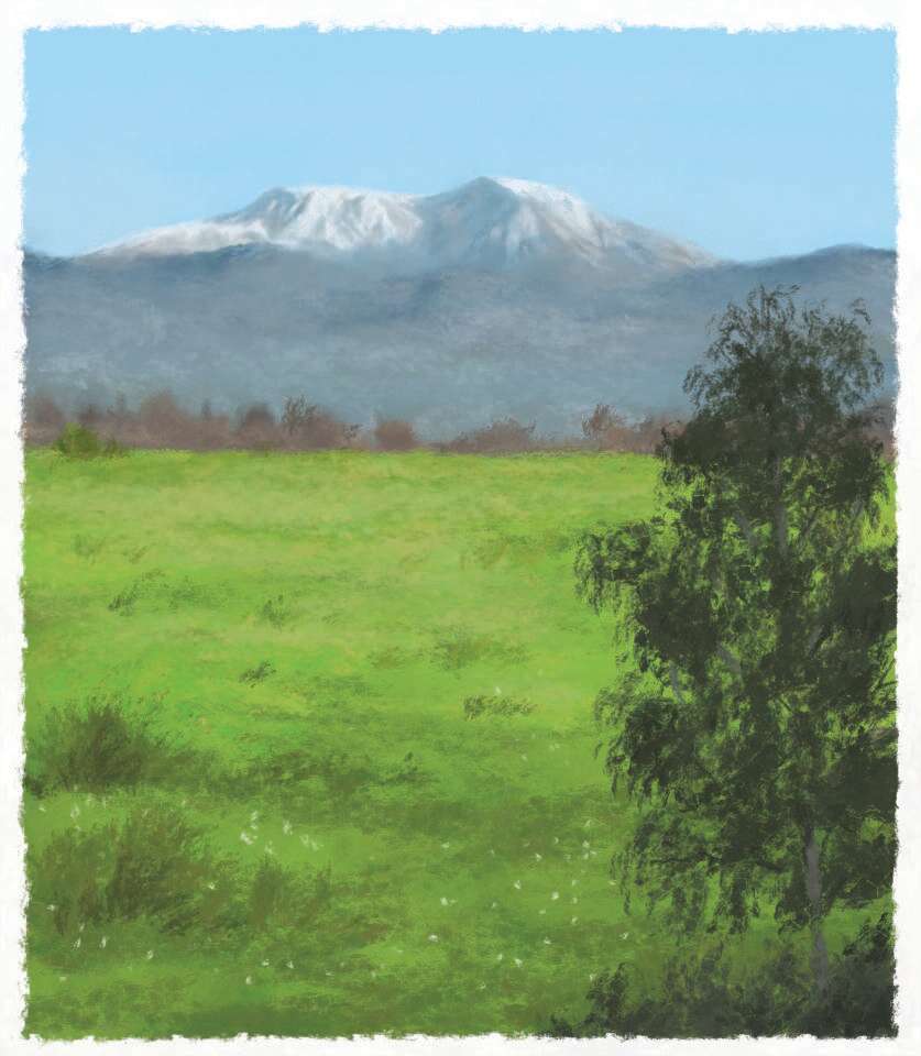 איור: מנחם הלברשטט