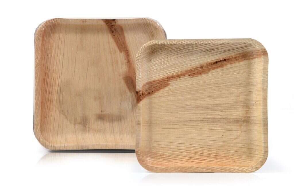 צלחות אקולוגיות | אפרת אשל