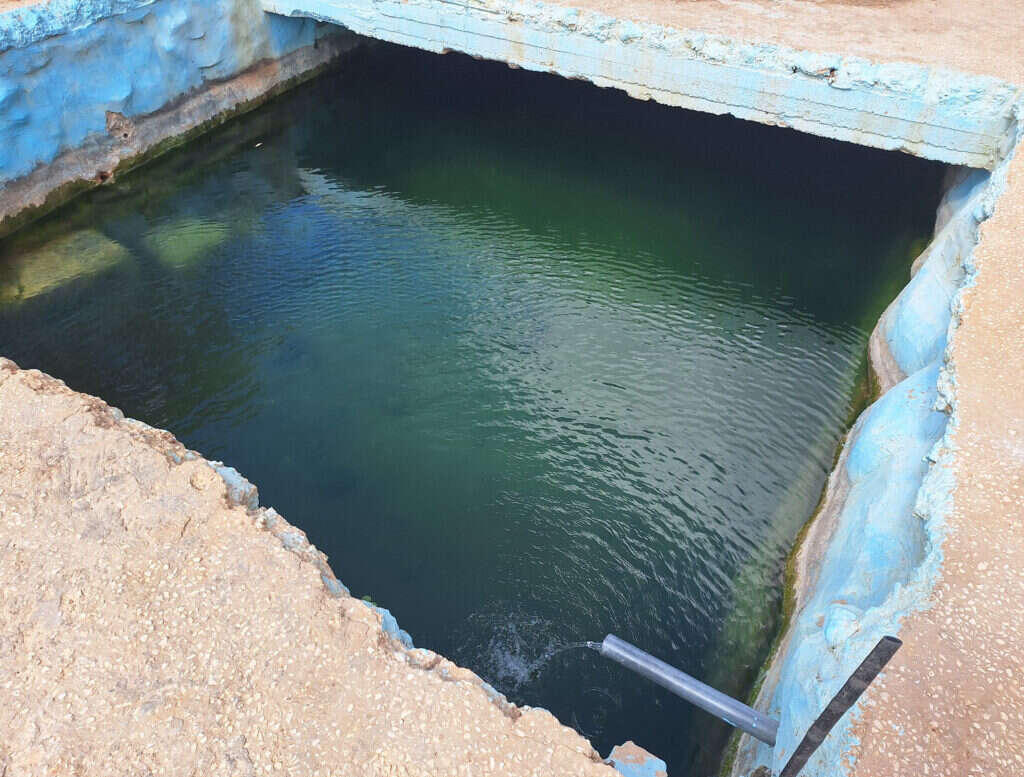 עין אל־פוקא. | אלקנה סוקולובר עין אל־פוקא. | אלקנה סוקולובר