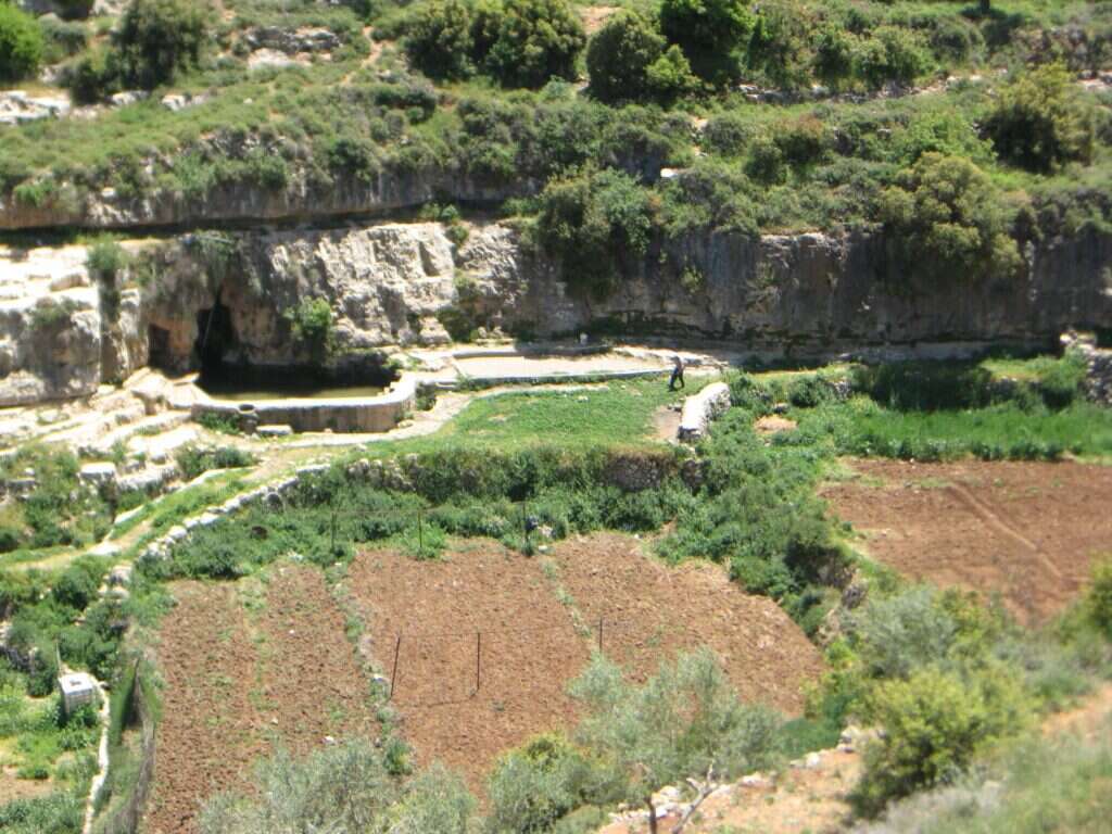 ואדי ג'מיע. | מתן רוזנברג ואדי ג'מיע. | מתן רוזנברג