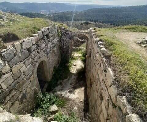 תל צובה. | ישי סלומון