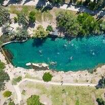 אושרי שלמון