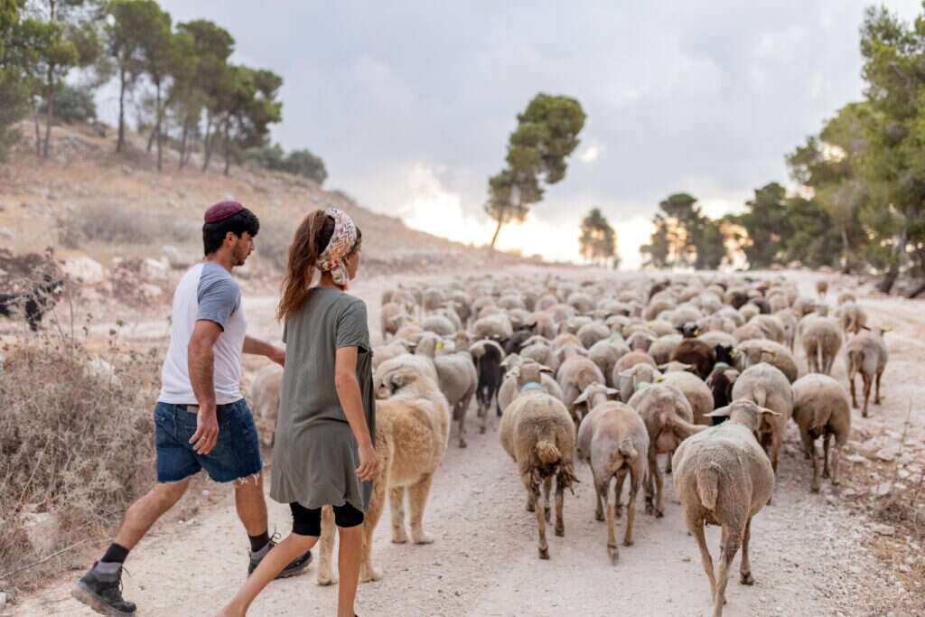משפחת שוורץ. | נעמה שטרן