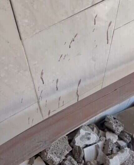 כתמי הדם על קירות הבית בתל-סולטאן. | אורלי גולדקלנג