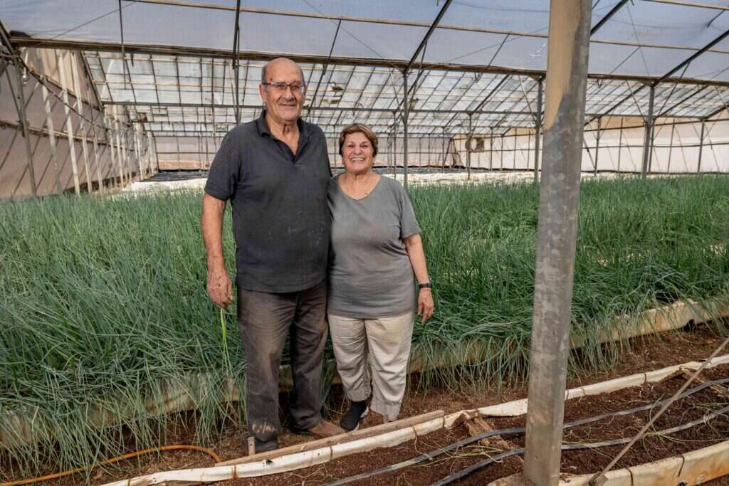 צילה ואברהם ברבי. | נעמה שטרן צילה ואברהם ברבי. | נעמה שטרן