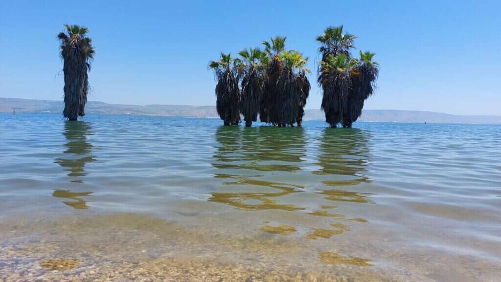 חוף חוקוק צפון - | איגוד ערים כינרת