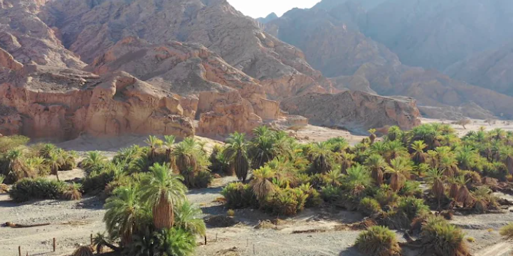 נווה מדבר בסעודיה. | מסך מיוטיוב