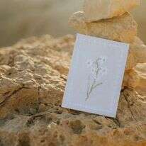 פנקס לבן רוג'ום. | אלומה משולמי