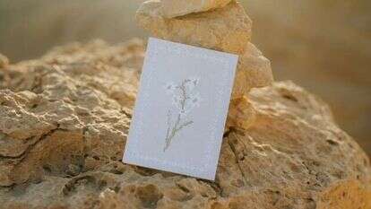 פנקס לבן רוג'ום. | אלומה משולמי