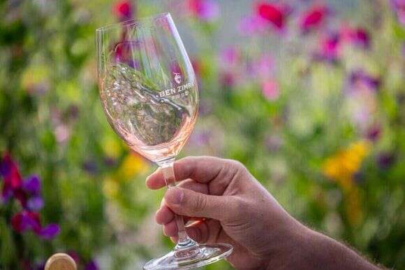 רוזה, יקב בן זמרה. | מאור קינסבורסקי רוזה, יקב בן זמרה. | מאור קינסבורסקי