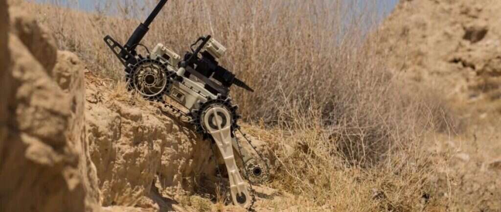 רונ"י. | דובר צה"ל