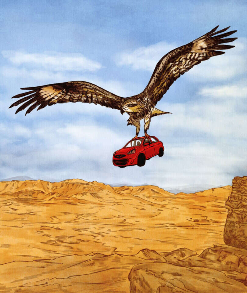 איור: שרון ארדיטי