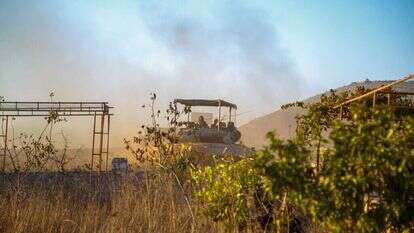 אליאב מייסון