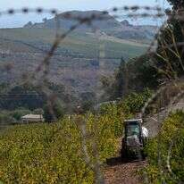 חקלאות במטולה. | מיכאל גלעדי, פלאש 90