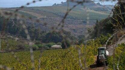 חקלאות במטולה. | מיכאל גלעדי, פלאש 90 חקלאות במטולה. | מיכאל גלעדי, פלאש 90
