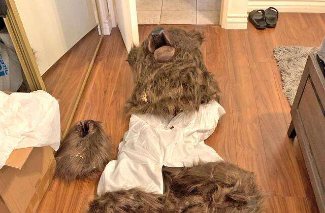 תחפושת הדב שאותרה בביתם של החשודים. | מחלקת הביטוח של קליפורניה