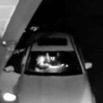 ה"דב" הורס את רכב היוקרה. | מסך מיוטיוב