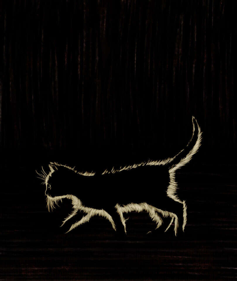 איור: שרון ארדיטי איור: שרון ארדיטי