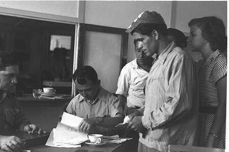 בראונר טדי, לע"מ